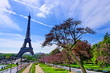 Parc parisien et Tour Eiffel