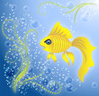 Goldfish