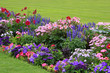 Photo: Flowerbed Flowerbed