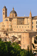 urbino