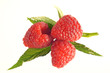 Photo: framboises framboises