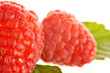 Photo: Framboises Framboises