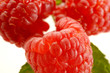 Photo: Framboises Framboises