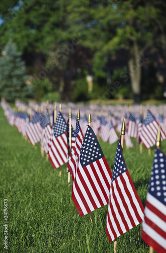 United We Stand.Hundreds Of US Flags