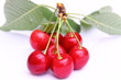 Cerises, détourage