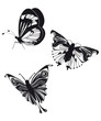 Papillons ornementaux