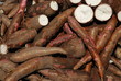 Racines de manioc Racines de manioc