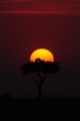 African sunset