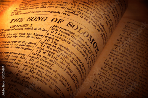 Photo: Holy bible Holy bible
