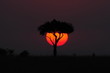 African sunset in Masai Mara, Kenya
