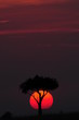 African sunset