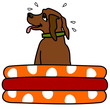 hundepool
