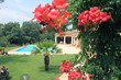 Villa provençale