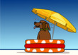 hundestrand