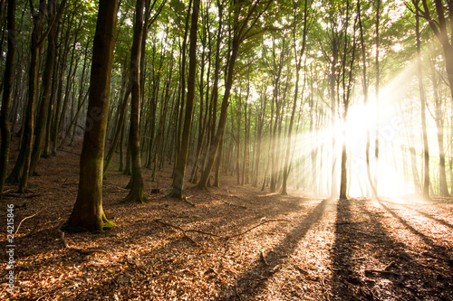 Foto: Sonnenstrahlen Sonnenstrahlen