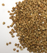 Buckwheat Buckwheat