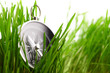 compass in green grass compass in green grass