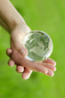 Globe in the hand