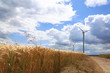 Getreide und Windräder