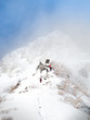 Team work to reach the top