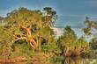 AUS-Kakadu NP3