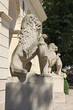Stone lions at the entrance of Lviv municipal