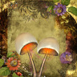 Illustration: traumwald traumwald