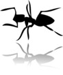 ant silhouette vector