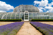 Greenhouse at Kew Gardens in London on a beautiful summer day Greenhouse at Kew Gardens in London on a beautiful summer day