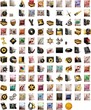 pirate icons