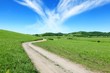 Beautiful summer landscape