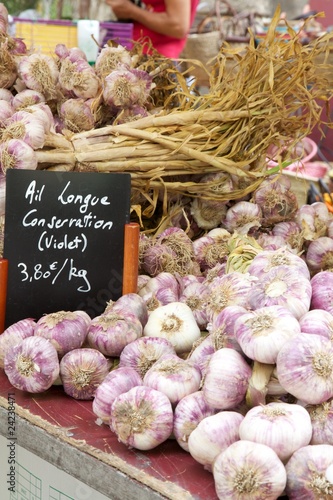 Photo: Bunches of Garlic Bunches of Garlic