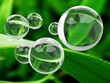Transparent bubbles on grass background