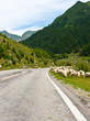 Mountain scenery Mountain scenery