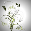 floral frame floral frame