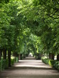 allee