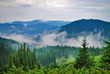 Landscape with fog Landscape with fog