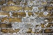 Backsteine mit Schimmel