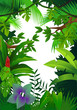 Beautiful forest Beautiful forest