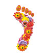 flower footprint