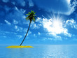 single palm on the uninhabited island on sunset