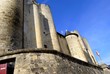 Donjon de Niort, Deux-Sèvres # 5