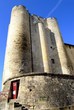 Donjon de Niort, Deux-Sèvres # 7