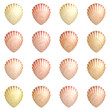 Seashell Background