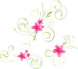 Colorful plumeria floral elements Colorful plumeria floral elements