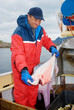 Foto: Fisherman with hallibut Fisherman with hallibut