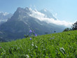 grindelwald first