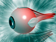 eye