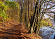 Berliner Uferwege im Herbst