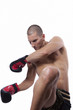 Sexy well trained male with muay thai gloves